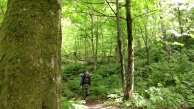 Ormanda yürüyen turist kadın. Ormanın içinde sırt çantası olan kadın. Hiking. Yeşil orman. bir tur orman. kamp. boş zaman. ekoturizm. Seyahate gitmek. vahşi. macera başlıyor