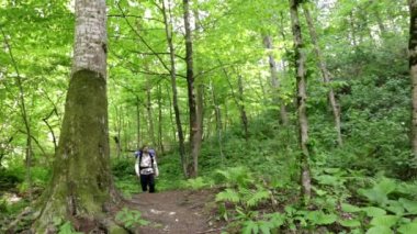 Ormanda yürüyen neşeli turist adam. Ormanın içinde sırt çantası olan adam. Hiking. Yeşil orman. bir tur orman. kamp. boş zaman. ekoturizm. vahşi. macera başlar. adam su içer