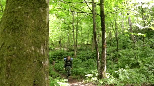 Туристична жінка йде через ліс. жінка з рюкзаком у лісі. пішохідний туризм. зелений ліс. екскурсія по лісу. кемпінг. дозвілля. екотуризм. йди в подорож. дикий. пригода починається — стокове відео