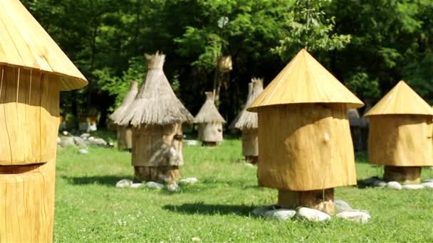 Sok kaptár. Méh Farm, repülő méh. Méhkaptár, a zöld réten. Méhészet — Stock videók