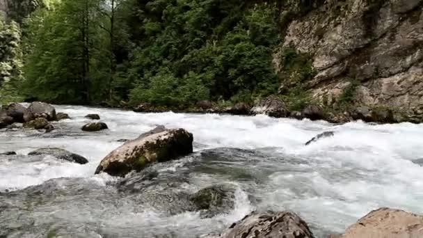 Fiume di montagna rapido. Bellissimo paesaggio con il fiume di montagna. Fiume pulito, scorrere veloce, torrente di montagna, fauna selvatica, fiumi del Caucaso . — Video Stock