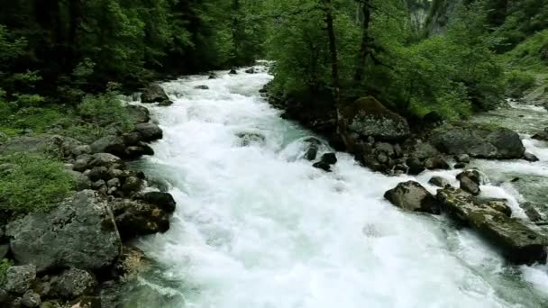 Río de montaña rápido. Río limpio, flujo rápido, arroyo montañoso, vida silvestre, ríos del Cáucaso. Hermoso paisaje con el río de montaña . — Vídeo de stock