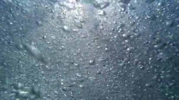 Bubbles under water. Air bubbles in water.  Marine background, beautiful background.Undersea world. Beautiful seascape. — Stock Video