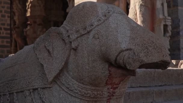 Una statua di elefante scolpita in pietra in un tempio nell'antica città indiana di Hampi — Video Stock