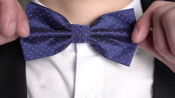 Amarra bem de perto. O homem usa uma gravata em volta do pescoço. Homens clássicos moda. — Vídeo de Stock