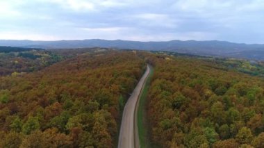 Hava manzarası: Sonbahar ormanı ve kır yolu. Sonbahar, sarı ağaçlar ve otoyol