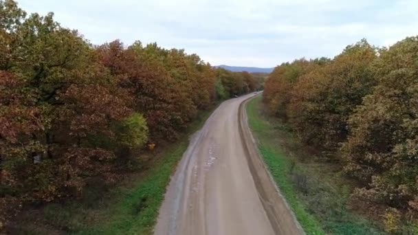 Jesienny las, żółte drzewa i wiejska droga gruntowa — Wideo stockowe