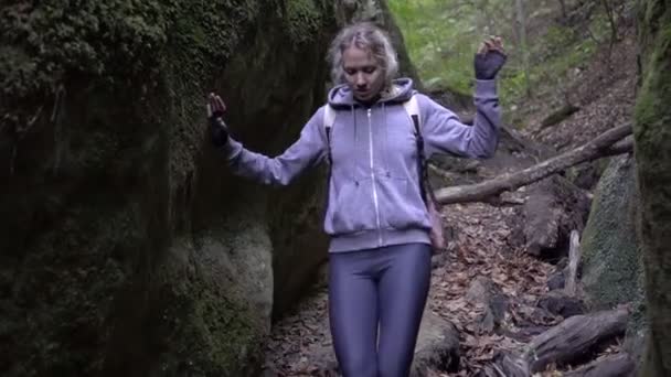 森と山の中をハイキング中の慎重な女性ハイカー — ストック動画