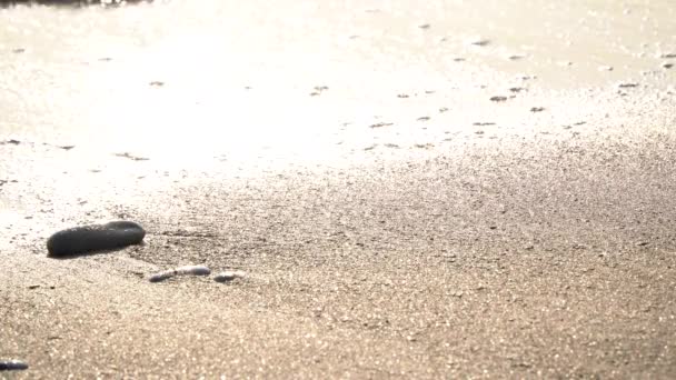 Sonniger Sandstrand und Meereswelle vor dem Hintergrund des Sonnenuntergangs — Stockvideo