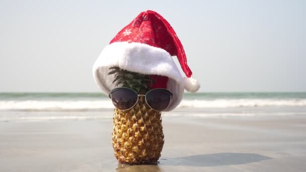 Un divertente ananas in bicchieri e un cappello di Babbo Natale sulla spiaggia del mare festeggia Natale o Capodanno — Video Stock