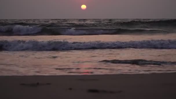 Evening sea and beautiful sunset. Dark waves and sandy beach — Wideo stockowe