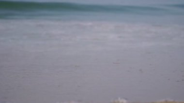 Deniz dalgası ve kumlu sahil, yavaş çekim.