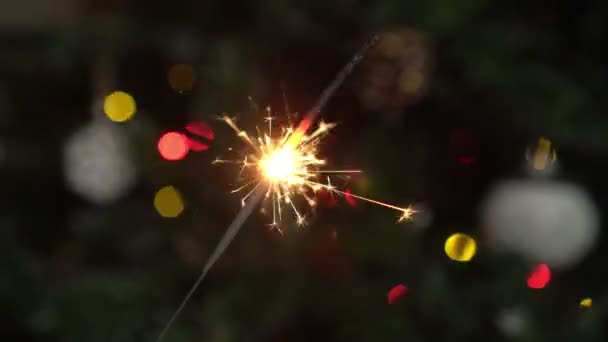 Sparkler on Christmas or New Year background — Stock Video