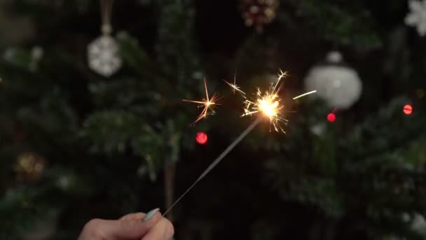Bright sparkling sparkler on a Christmas background — Stock Video