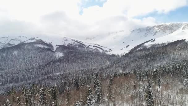 Vista aerea: foresta invernale e belle montagne innevate. Bellissimo panorama della foresta invernale — Video Stock