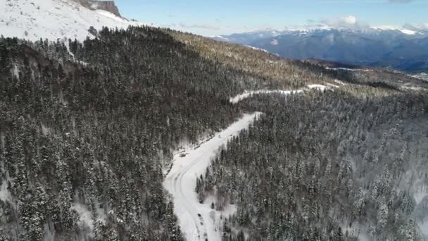Winterbos, witte sneeuw, bergen en een weg, uitzicht vanuit de lucht — Stockvideo
