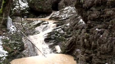 Kış veya bahar ormanlarında çağlayan şelale