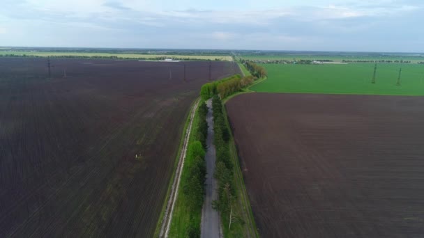 Landsväg, åkrar och åkermark. Vackert landsbygdslandskap, flygutsikt. Landsväg på jordbruksmarkens bakgrund — Stockvideo