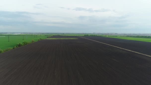 Όμορφη εναέρια άποψη της αρόσιμης γης και πράσινο λιβάδι στο αγρόκτημα — Αρχείο Βίντεο