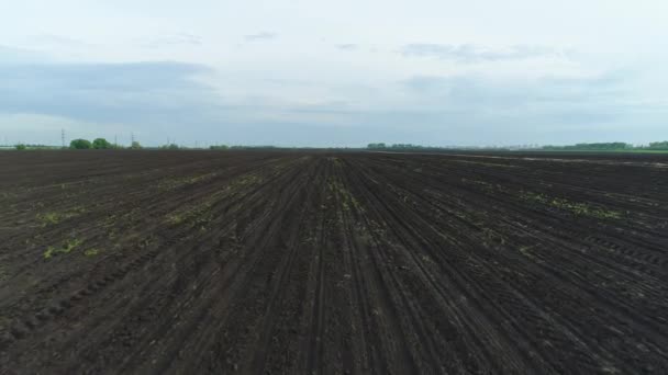 Arable land, excavated agricultural field, aerial view. Plowed land before sowing — Stock Video