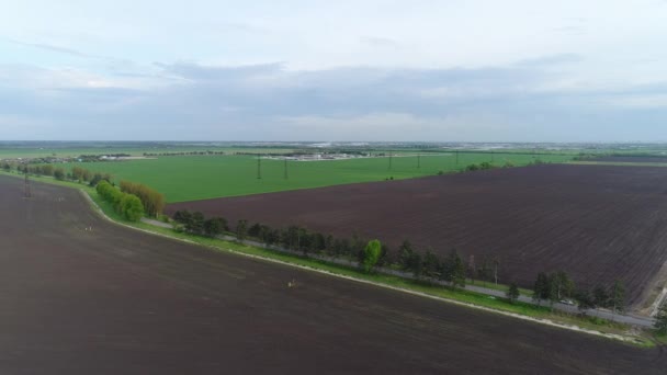 Vista aérea: prados verdes, tierra arada. Fondo agrícola hermoso — Vídeo de stock