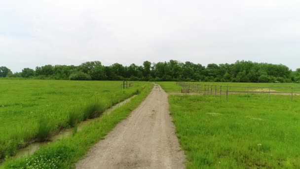 Grönt fält, skog och grusväg nära gården. Hästfålla och trästaket — Stockvideo