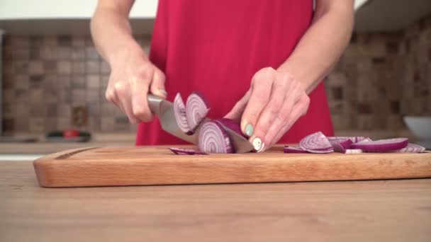 Woman cuts red onion in the kitchen with a knife, hands close-up — Stock Video