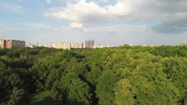 Hava manzarası: büyük yeşil park ve şehir binaları. Yeşil orman ve modern şehir. Yeşil gelecek konsepti