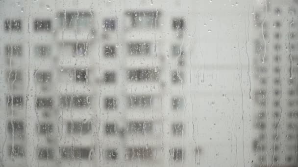 Raindrops on the window. Autumn weather, rain outside the window — 비디오