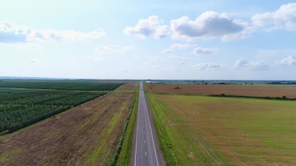 空旷的郊区公路，鸟瞰。公路或高速公路、绿地和草地。道路背景 — 图库视频影像