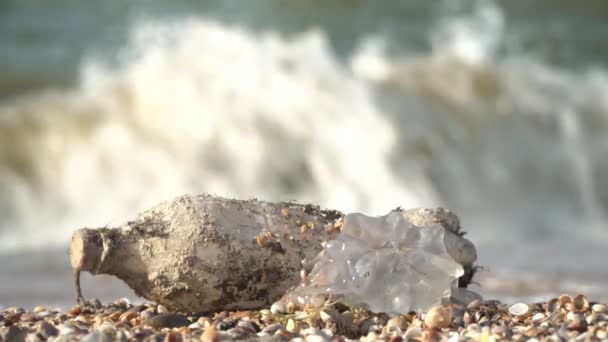 Bottiglia di plastica e meduse morte sulla spiaggia. Spazzatura di plastica sulla riva del mare. Concetto di inquinamento marino mondiale — Video Stock