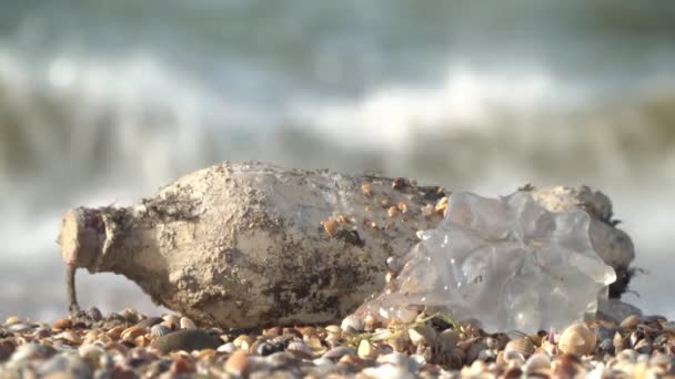Plastic garbage and a bottle on the seaside. The problem of plastic pollution of nature, sea and ocean — Video Stock