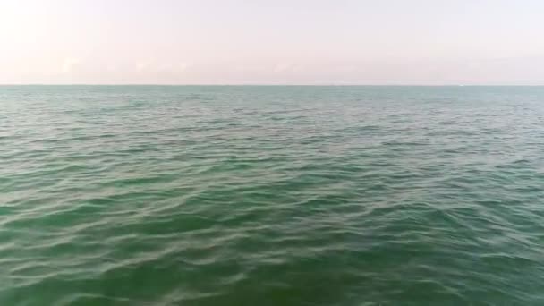 Calm green sea or ocean against the backdrop of a clear sky on a sunny day — Stock Video