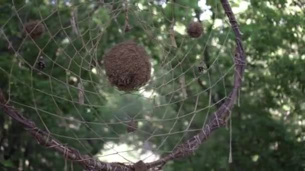 Totem ou attrape-rêves. Amulette sur une branche d'arbre. Totem fait à la main dans les tribus indiennes — Video