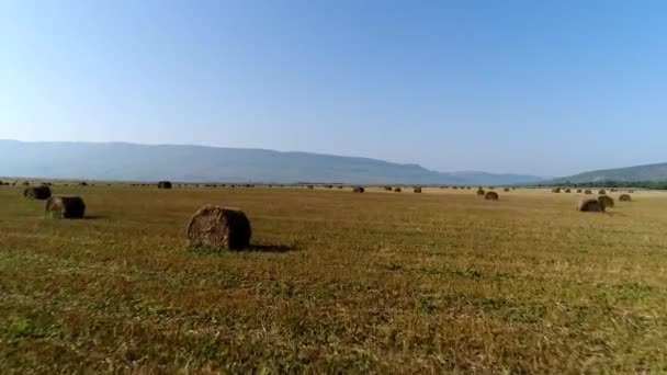 晴れた夏の日には干し草の山があるフィールドの空中ビュー。野原の干し草のロール — ストック動画