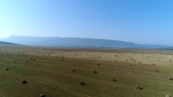 Flygfoto, vackert landskap av ett fält med höstack. Valsar av hö på fältet — Stockvideo
