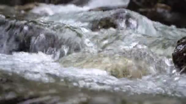 Rivière ou ruisseau de montagne, plan d'eau rapproché. Le débit rapide de la rivière parmi les pierres — Video