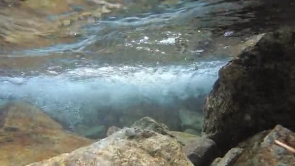 Río de montaña, vista bajo el agua. El fondo de un río poco profundo o un arroyo forestal, video submarino — Vídeos de Stock