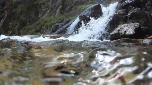 Şelale, dağ nehri ya da dere. Bir dağ nehrinin sularını, temiz suyu seyret. — Stok video