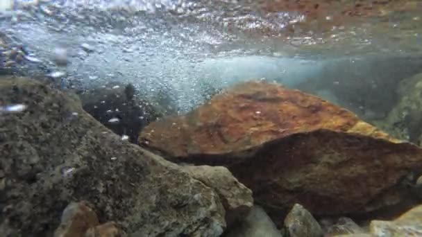 Горная река, подводное видео. Дно, камни и пузырьки, чистая вода в реке — стоковое видео