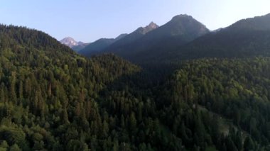 Yazın yeşil orman ve dağlar, hava manzarası. Doğanın ve ormanın güzel manzarası.