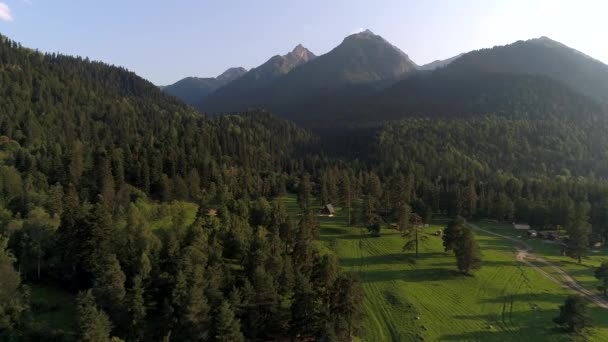 Uitzicht vanuit de lucht, groen bos op de achtergrond van bergen in de zomer. Dorp en huisje in de vallei — Stockvideo