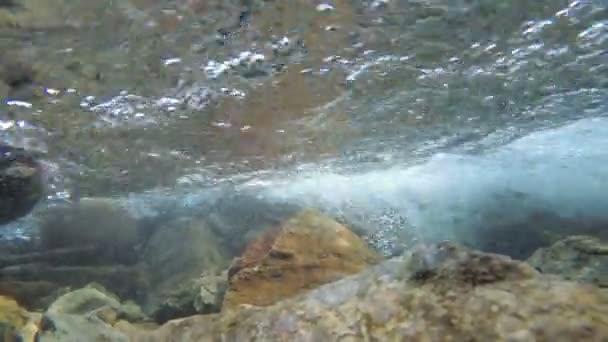 Río de montaña, video submarino. Agua limpia y clara en el río — Vídeo de stock