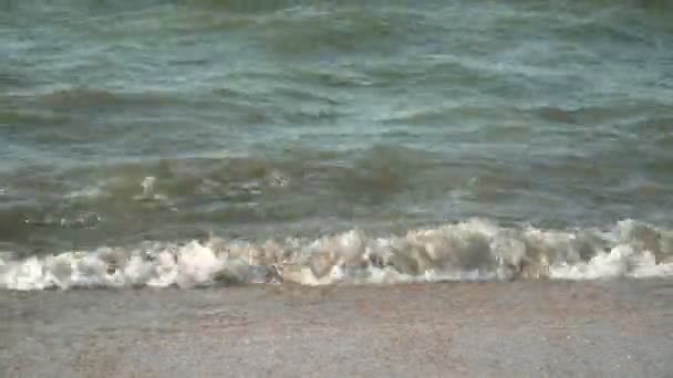 Піщаний пляж і морські хвилі. Заболочене море, брудна, хмарна вода. — стокове відео