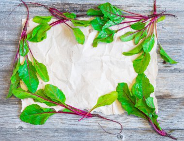 Beetroots yaprak çerçeve