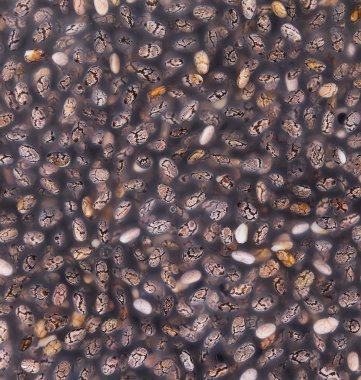 Chia jöle doku, makro. 