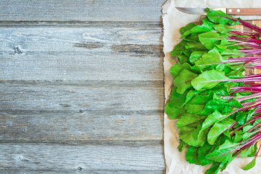 Taze pancar kökleri arka plan