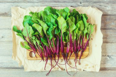 taze pancar kökleri