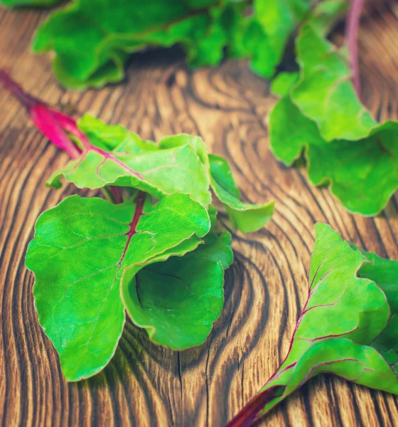 Beetroots leaves closeup — Stock Photo, Image