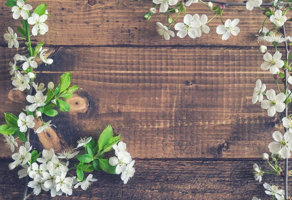 Ahşap plakalar üzerinde kiraz çiçeği — Stok fotoğraf